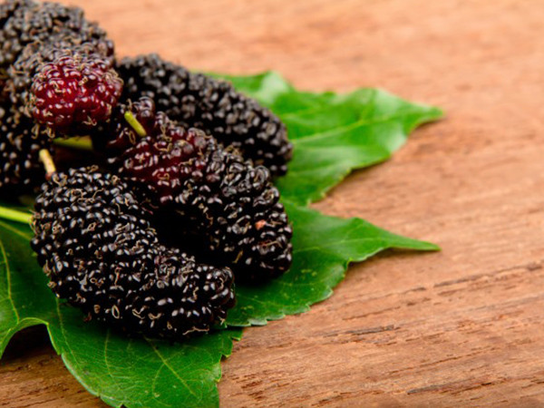 Điểm mặt 4 loại quả khó rửa sạch, đầy độc tố và ký sinh trùng Diem mat 4 loai qua kho rua sach, day doc to va ky sinh trung