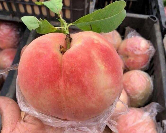 Diem mat 4 loai qua kho rua sach, day doc to va ky sinh trung-Hinh-4