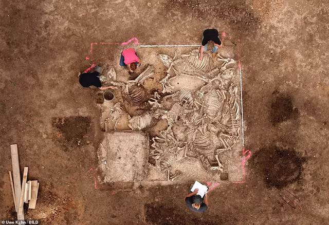 Bi an dia vi cua chu nhan ngoi mo co 1.500 tuoi o Duc