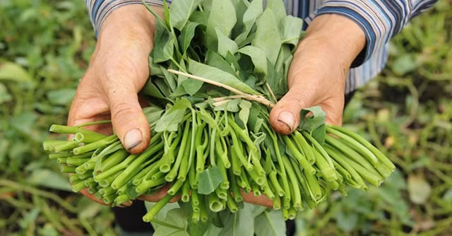 Nhung “cao luong my vi” thoi xua chi co vua chua moi duoc an-Hinh-9