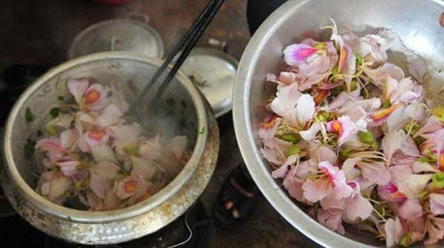 Nhung mon an ngon tuyet tu cac loai hoa rung-Hinh-2