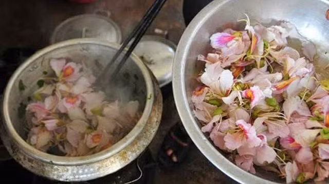 Nhung mon an ngon tuyet tu cac loai hoa rung-Hinh-2