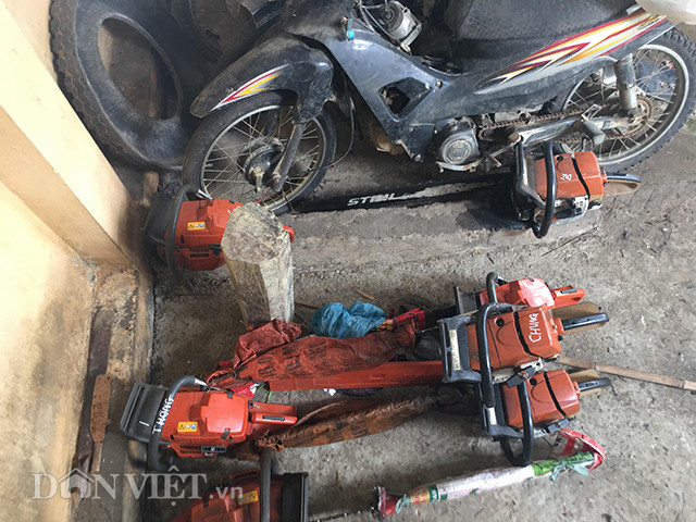 Điều tra vụ phá rừng nghiến nghiêm trọng tại rừng phòng hộ ở Bắc Kạn - Hình 3 Dieu tra vu pha rung nghien nghiem trong tai rung phong ho o Bac Kan-Hinh-3