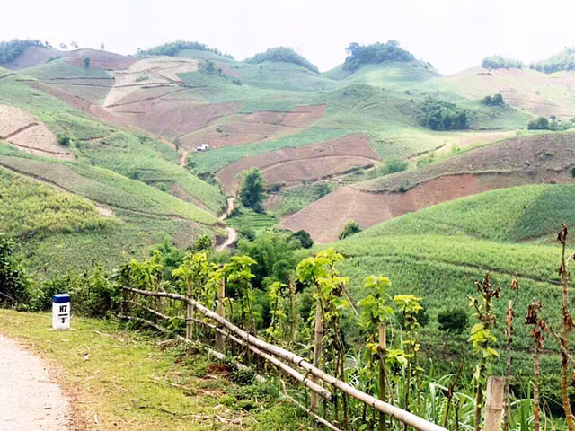 Gan 100 trieu nguoi tieu dung Viet Nam se duoc mua duong gia dat hay re?