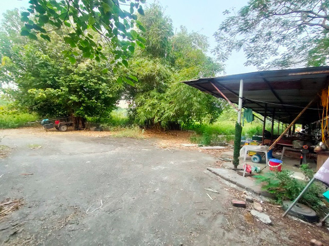 Cỏ hoang phủ đầy trên 'đất vàng' Constrexim Complex ở Hà Nội - Hình 10 Co hoang phu day tren 'dat vang' Constrexim Complex o Ha Noi-Hinh-10
