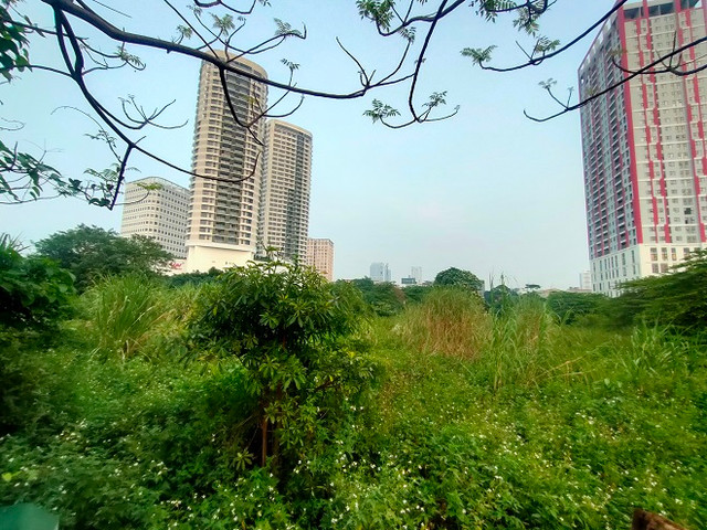 Cỏ hoang phủ đầy trên 'đất vàng' Constrexim Complex ở Hà Nội - Hình 7 Co hoang phu day tren 'dat vang' Constrexim Complex o Ha Noi-Hinh-7