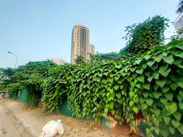 Cỏ hoang phủ đầy trên 'đất vàng' Constrexim Complex ở Hà Nội - Hình 6 Co hoang phu day tren 'dat vang' Constrexim Complex o Ha Noi-Hinh-6