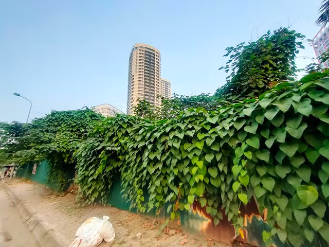 Co hoang phu day tren 'dat vang' Constrexim Complex o Ha Noi-Hinh-6