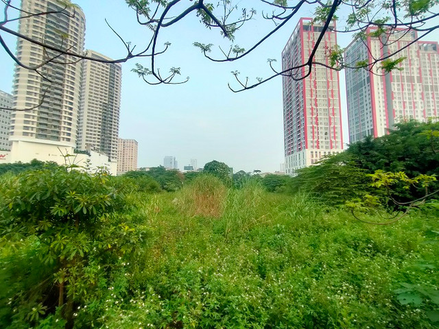 Cỏ hoang phủ đầy trên 'đất vàng' Constrexim Complex ở Hà Nội - Hình 5 Co hoang phu day tren 'dat vang' Constrexim Complex o Ha Noi-Hinh-5