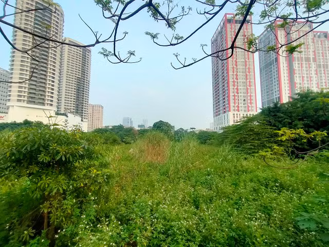 Co hoang phu day tren 'dat vang' Constrexim Complex o Ha Noi-Hinh-5