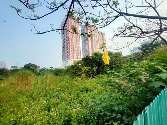 Co hoang phu day tren 'dat vang' Constrexim Complex o Ha Noi-Hinh-16