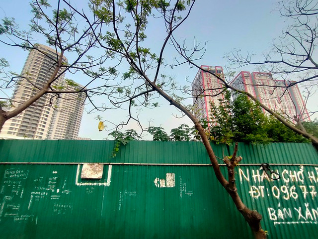Cỏ hoang phủ đầy trên 'đất vàng' Constrexim Complex ở Hà Nội - Hình 12 Co hoang phu day tren 'dat vang' Constrexim Complex o Ha Noi-Hinh-12