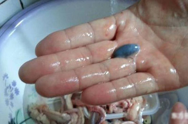 Ăn cá nhất định phải bỏ bộ phận này nếu không muốn mang bệnh - Hình 6 An ca nhat dinh phai bo bo phan nay neu khong muon mang benh-Hinh-6