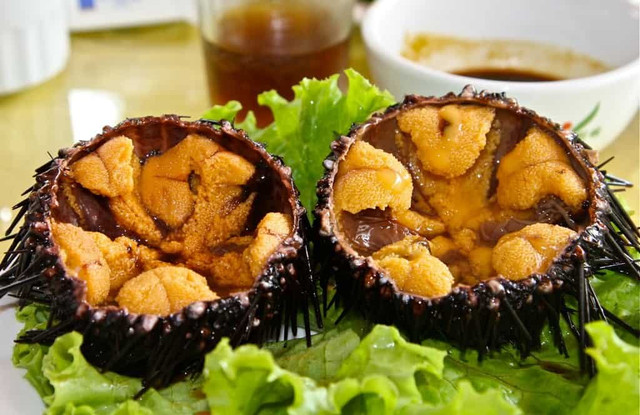 Những món ăn từ nhân sâm biển giúp quý ông vững phong độ Nhung mon an tu nhan sam bien giup quy ong vung phong do