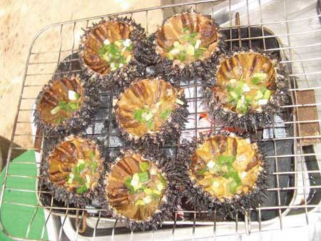 Những món ăn từ nhân sâm biển giúp quý ông vững phong độ - Hình 9 Nhung mon an tu nhan sam bien giup quy ong vung phong do-Hinh-9