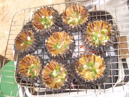 Nhung mon an tu nhan sam bien giup quy ong vung phong do-Hinh-9