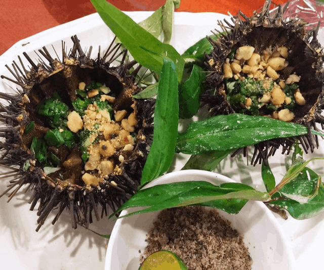 Những món ăn từ nhân sâm biển giúp quý ông vững phong độ - Hình 10 Nhung mon an tu nhan sam bien giup quy ong vung phong do-Hinh-10