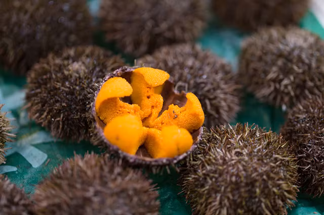 Nhung mon an tu nhan sam bien giup quy ong vung phong do-Hinh-11