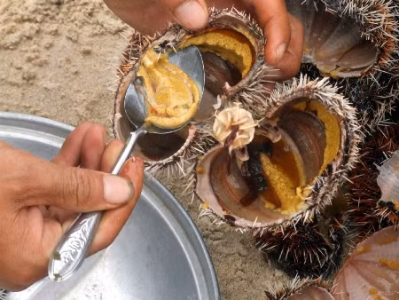 Nhung mon an tu nhan sam bien giup quy ong vung phong do-Hinh-8