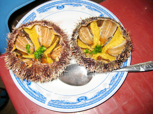 Những món ăn từ nhân sâm biển giúp quý ông vững phong độ - Hình 2 Nhung mon an tu nhan sam bien giup quy ong vung phong do-Hinh-2