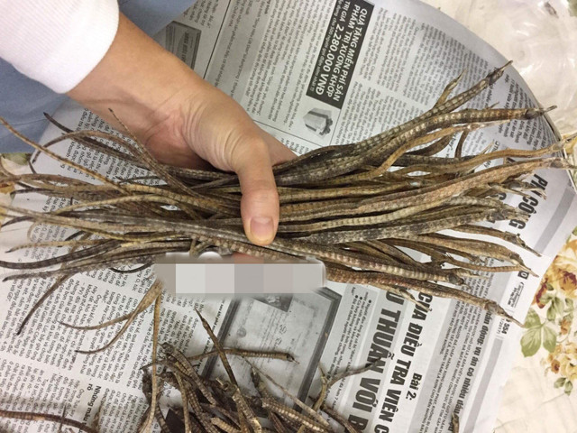 Dùng “rồng cường dương” bồi bổ cho quý ông sao cho hiệu quả? - Hình 4 Dung “rong cuong duong” boi bo cho quy ong sao cho hieu qua?-Hinh-4