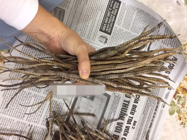 Dung “rong cuong duong” boi bo cho quy ong sao cho hieu qua?-Hinh-4