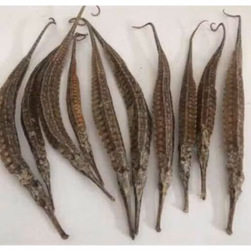 Dung “rong cuong duong” boi bo cho quy ong sao cho hieu qua?-Hinh-2