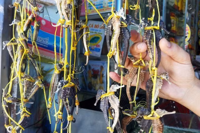 Dai gia vung tien san mon an nay vi co cong hieu hon ca Viagra-Hinh-10