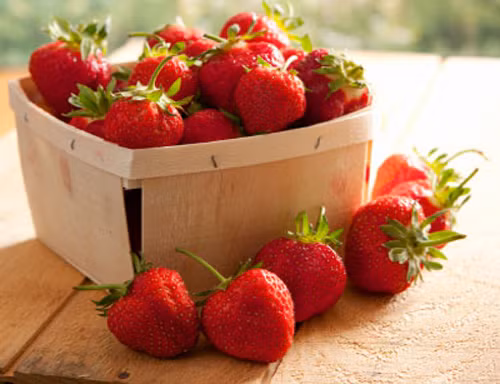 Luu y nhung rau cu “tam” hoa chat doc hai-Hinh-14