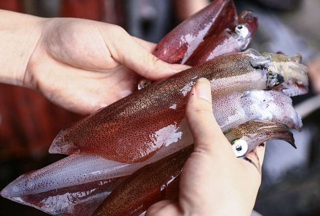 Nhung mon 'an tuoi nuot song' o Viet Nam nhin phat hoang-Hinh-12