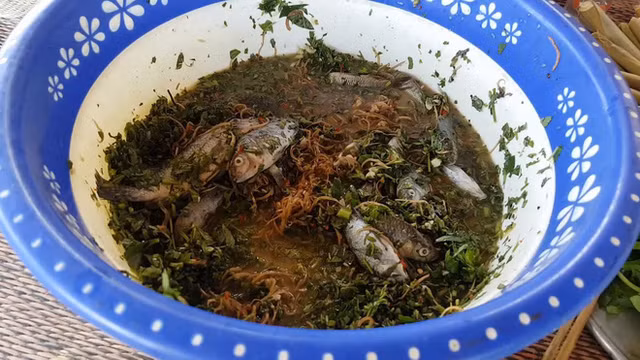 Nhung mon 'an tuoi nuot song' o Viet Nam nhin phat hoang-Hinh-6