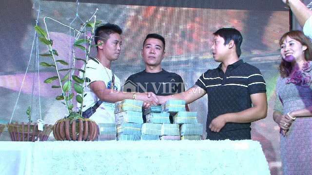 Bán chậu lan khủng 5 tỷ ở Lâm Đồng, phải nộp thuế 500 triệu đồng Ban chau lan khung 5 ty o Lam Dong, phai nop thue 500 trieu dong