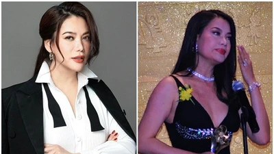 Trương Ngọc Ánh đóng phim thành công, kinh doanh vướng lao lý