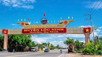 Lộc Ninh chi tiền tỷ trang trí xuân 2026: Nhà thầu Văn Tòng "về đích" một mình với giá sát nút