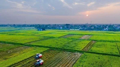 Công ty Quốc Tiến trúng thầu hơn 7 tỷ tại Phòng Kinh tế xã Mỏ Cày: Tiết kiệm 0,17%