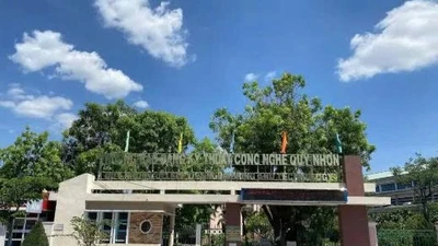 Gói thầu 03 tại Trường CĐKTCN Quy Nhơn: Vì sao Công ty T&N bị loại sớm? 