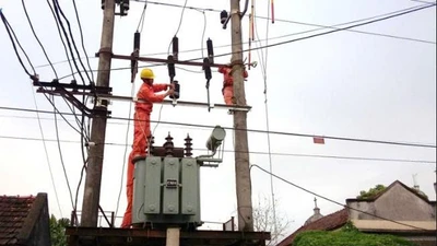 Gói thầu 14,6 tỷ ở An Giang: Vì sao Minh Sang thắng, 4 nhà thầu khác "ngã ngựa"?