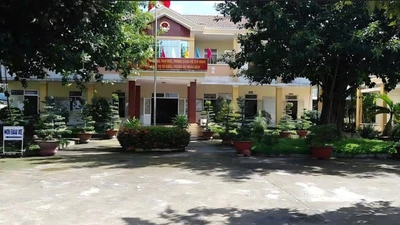 Công ty Danh Triệu Vỹ (Tây Ninh) trúng 100% gói thầu 2025, tiết kiệm 0 đồng 