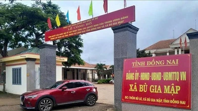 Soi năng lực nhà thầu trúng chuỗi gói thầu 0% tiết kiệm tại xã Bù Gia Mập, Đồng Nai