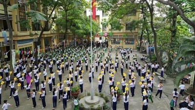 Công ty Tân Bửu Long trúng thầu "một mình" ở dự án Trường Tiểu học Quang Vinh 