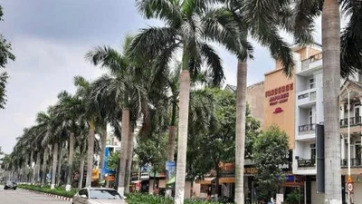 Phước Khang "một mình" dự thầu gói 3,5 tỷ ở phường Đông Hòa, TP HCM