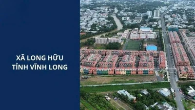 Vượt qua đối thủ tại bước đánh giá kỹ thuật, Công ty Toàn Phát thắng thầu tại xã Long Hữu