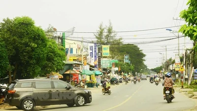 Công ty Cảnh quan Đức Phát trúng gói thầu hơn 3 tỷ đồng tại Phước Mỹ Trung