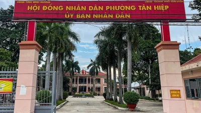 Phường Tân Hiệp: Cận cảnh gói thầu xây lắp hơn 6,5 tỷ đồng tại Khánh Bình 25 và 26 [Kỳ 1] 