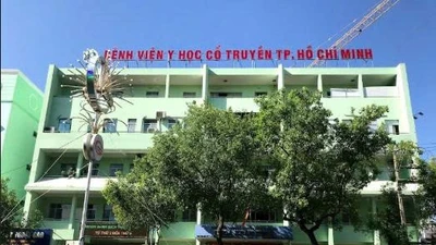 Năng lực thực sự của Xây lắp Toàn Thành qua các gói thầu ra sao?