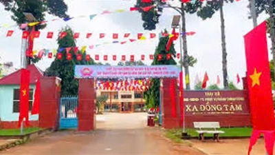 Dự án nâng cấp đường ĐH Đồng Tâm - Thuận Lợi: Chỉ duy nhất một liên danh nộp hồ sơ dự thầu 