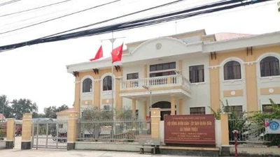 Công ty Nam Mê Kông trúng thầu tại BQLDA khu vực Châu Thành (Vĩnh Long) ra sao?