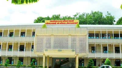 Gói thầu tại Trường CĐ Nông lâm Nam Bộ: Một nhà thầu bị loại vì lỗi cơ bản, Liên danh Nhật Sơn - Thuận An "về đích"