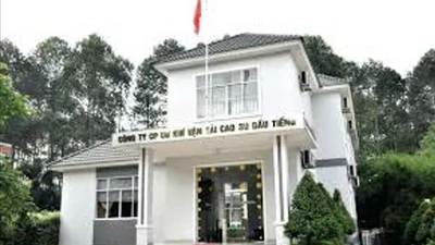 Đồng Nai: Công ty Dầu Tiếng trúng gói thầu mua sắm chén mủ, tiết kiệm nhỏ giọt