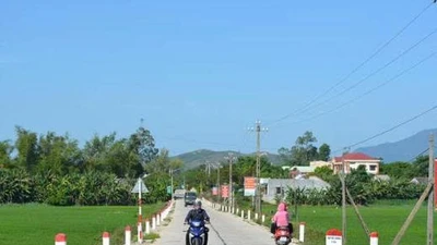 Gói thầu XL01 Bình Long: Liên danh Hưng Chiến - Thanh Lương giá thấp có đảm bảo chiến thắng?